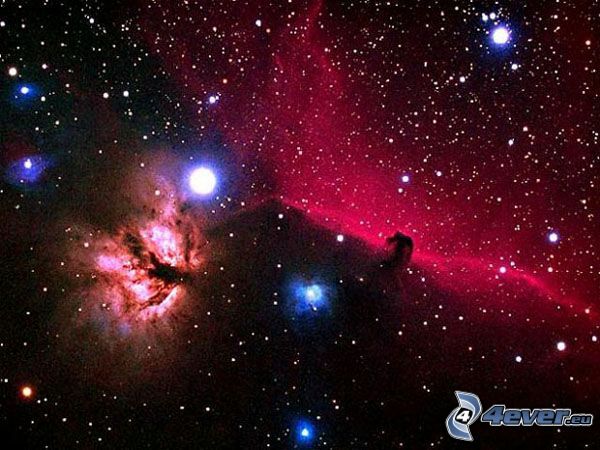 Nebulosa Cabeza de Caballo, estrellas, universo