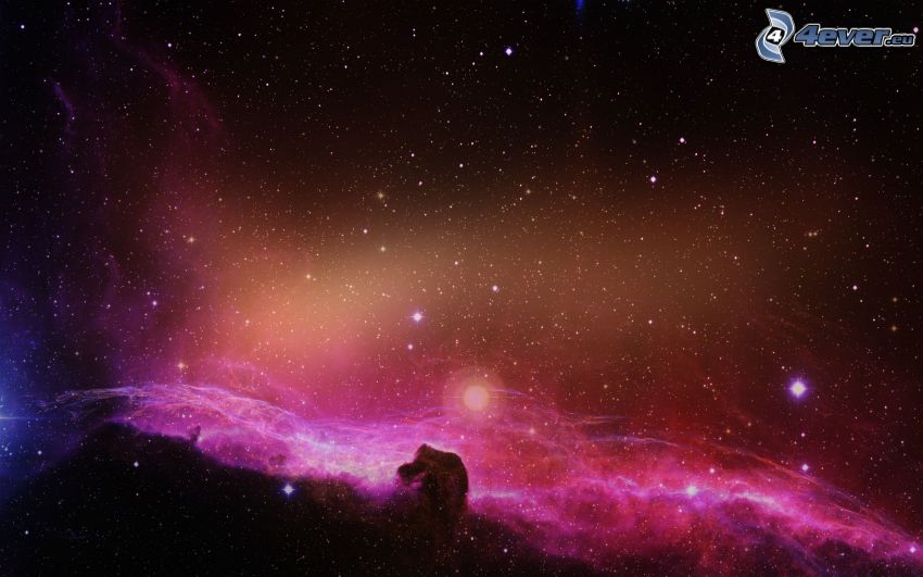 Nebulosa Cabeza de Caballo, estrellas