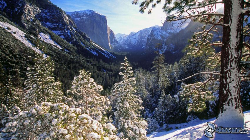 valle, El Capitan, Parque nacional de Yosemite, nieve