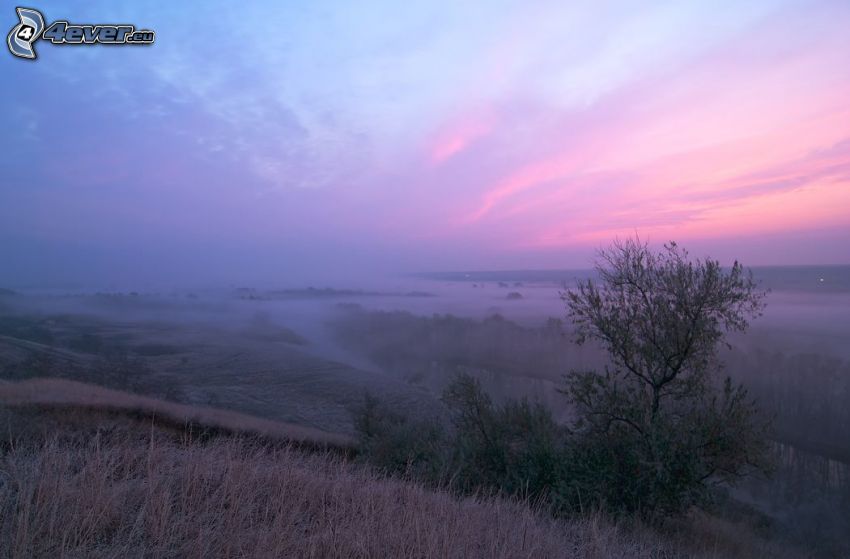 vista del paisaje, después de la puesta del sol, hierba seca, cielo de color rosa