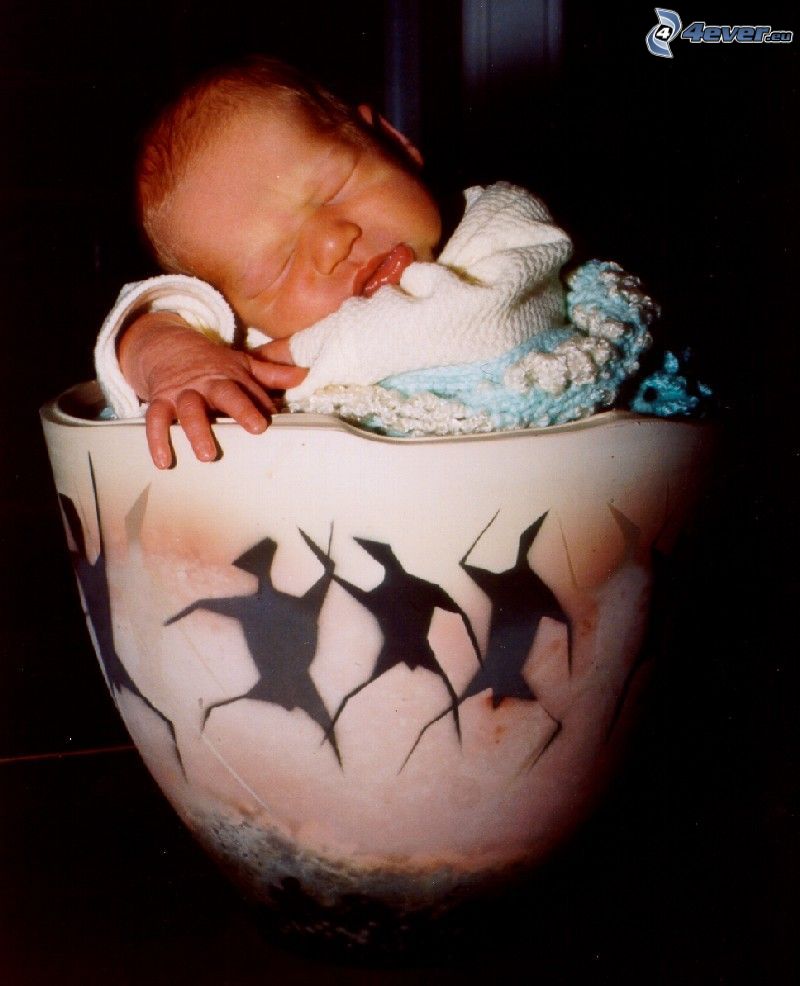 bebé, hombre, personas, cerámica