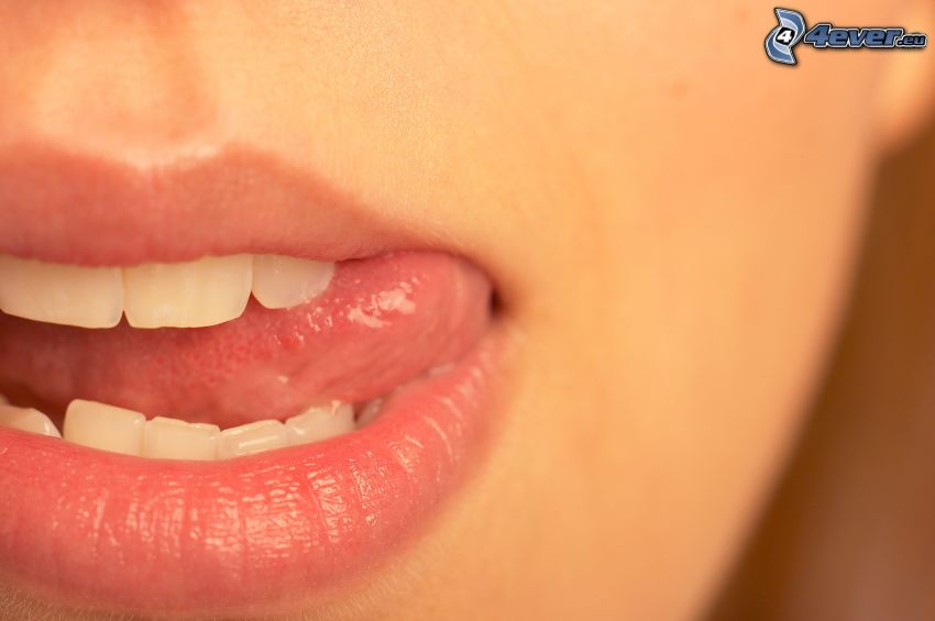 boca, labios, dientes, lengua