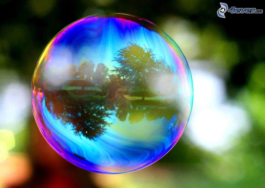 burbuja, reflejo