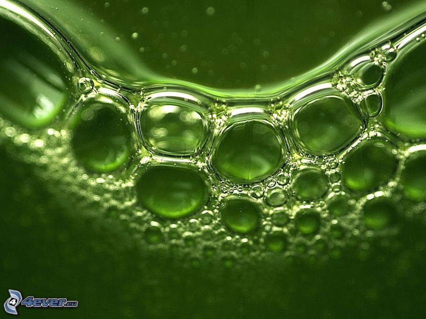 burbujas, espuma, fondo verde