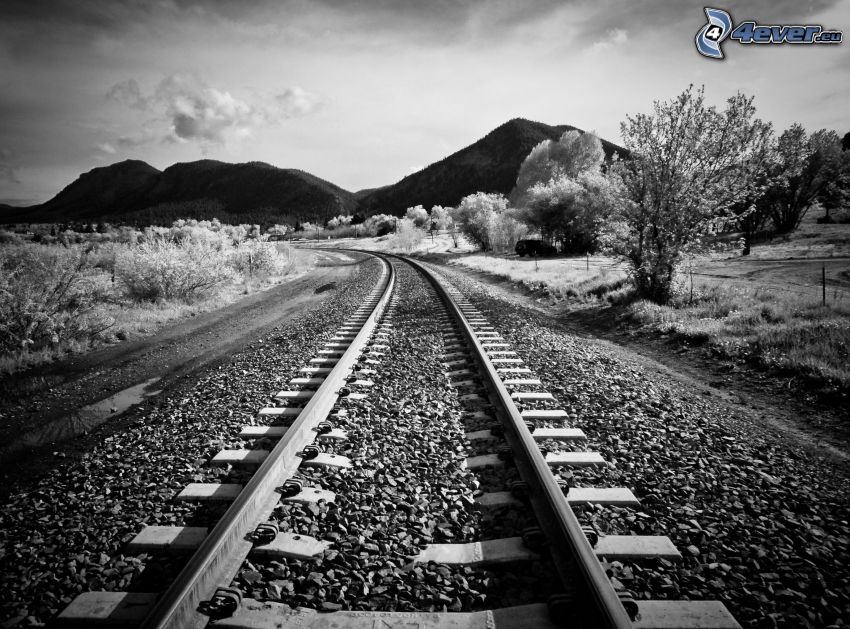 carril, piedras, colina, blanco y negro