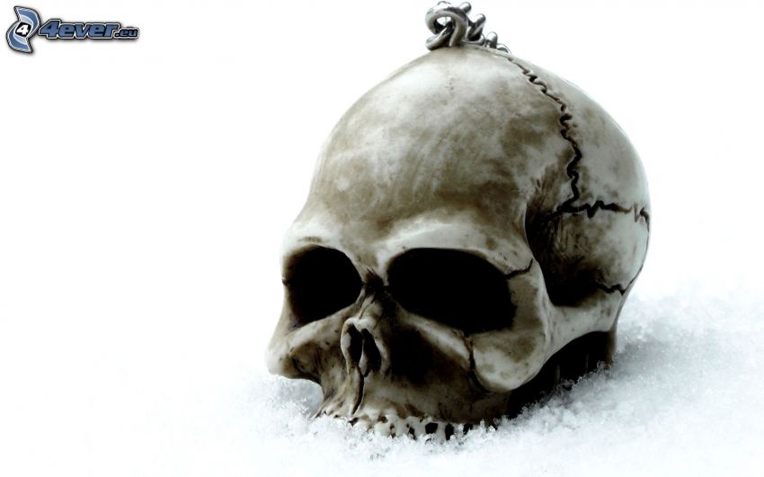 cráneo, nieve