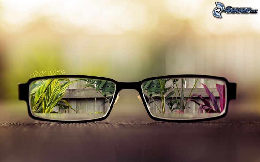 gafas, plantas