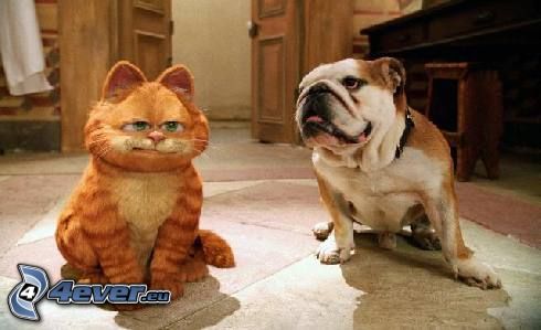 Garfield, perro