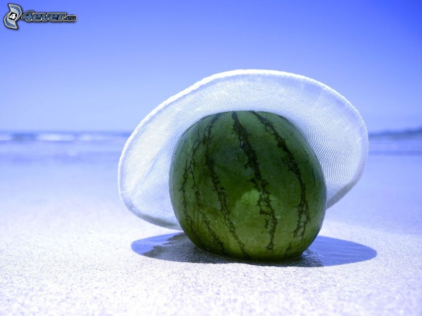 melón, sombrero, playa, mar