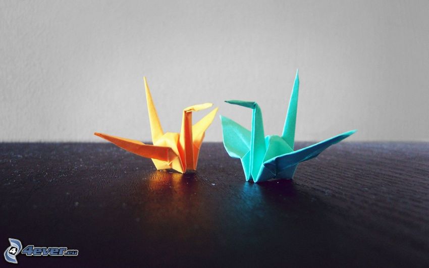 origami, cisnes