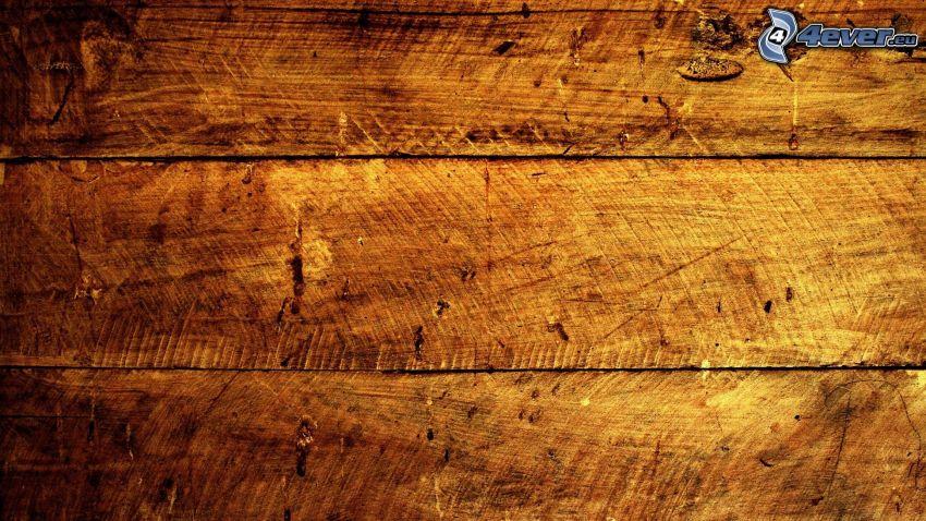 pared de madera, tableros