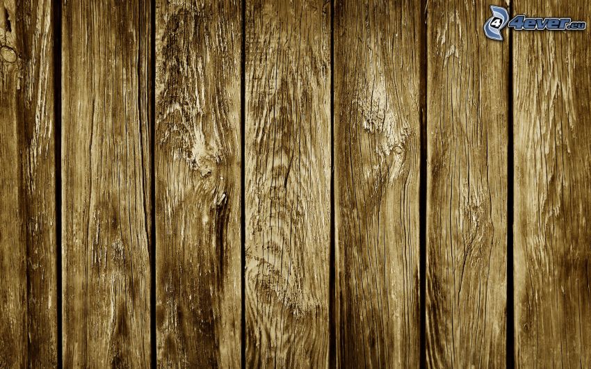 pared de madera, tableros