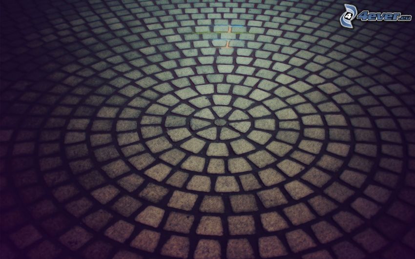 pavimento, círculos