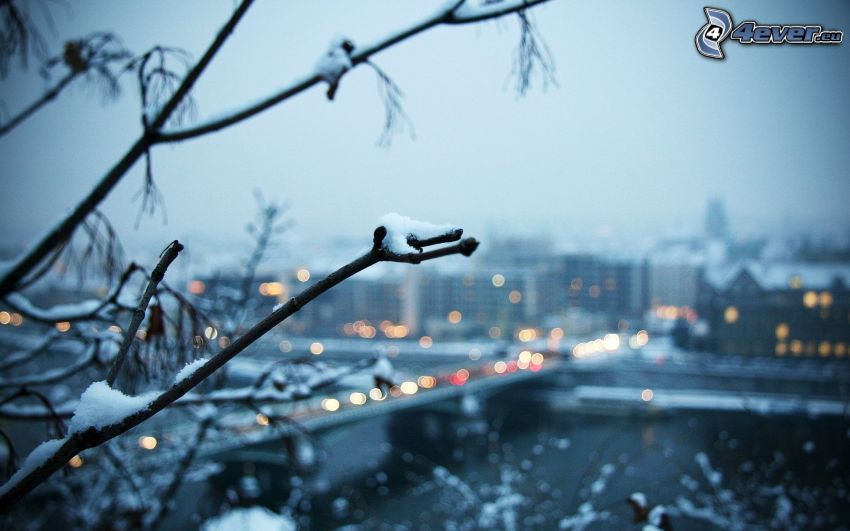 rama, ciudad, nieve
