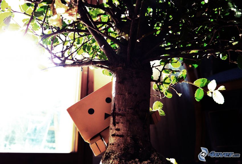 robot de papel, árbol, bonsai