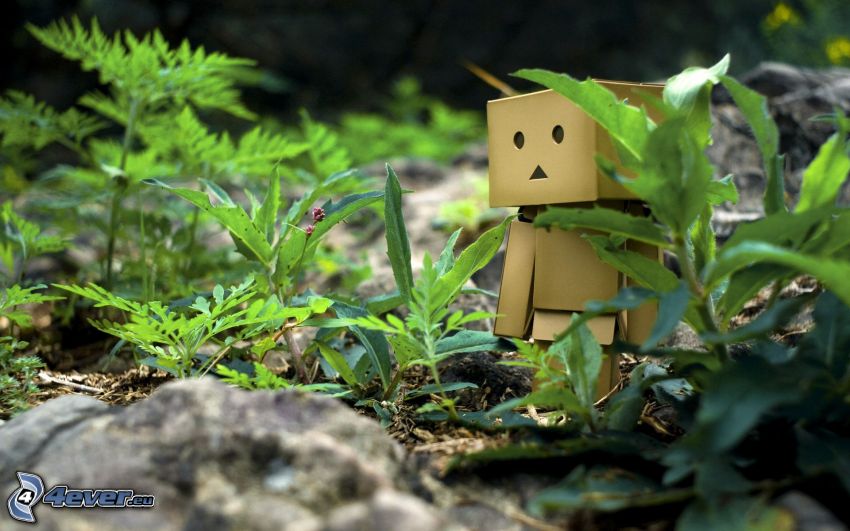 robot de papel, hierba