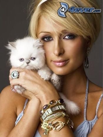 Paris Hilton, gatito blanco