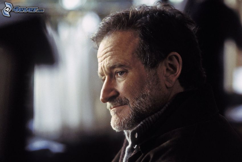 Robin Williams, bigote