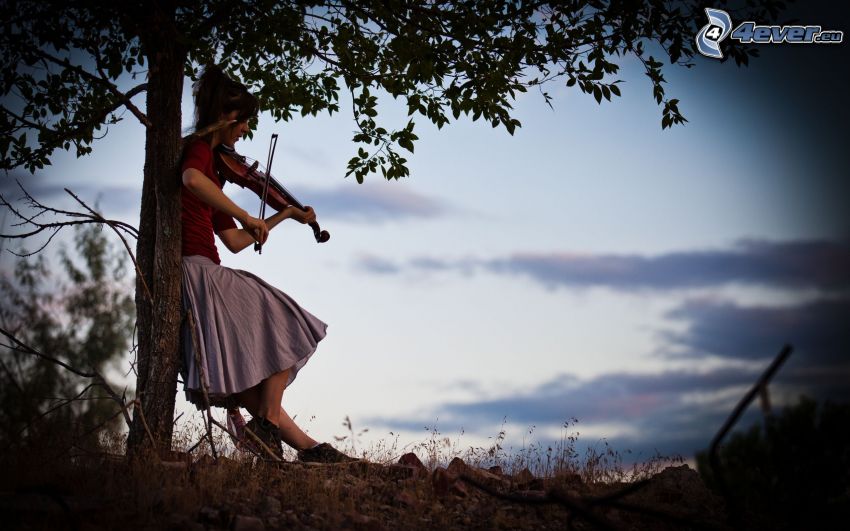 tocar el violín, muchacha con el violín, árbol, naturaleza
