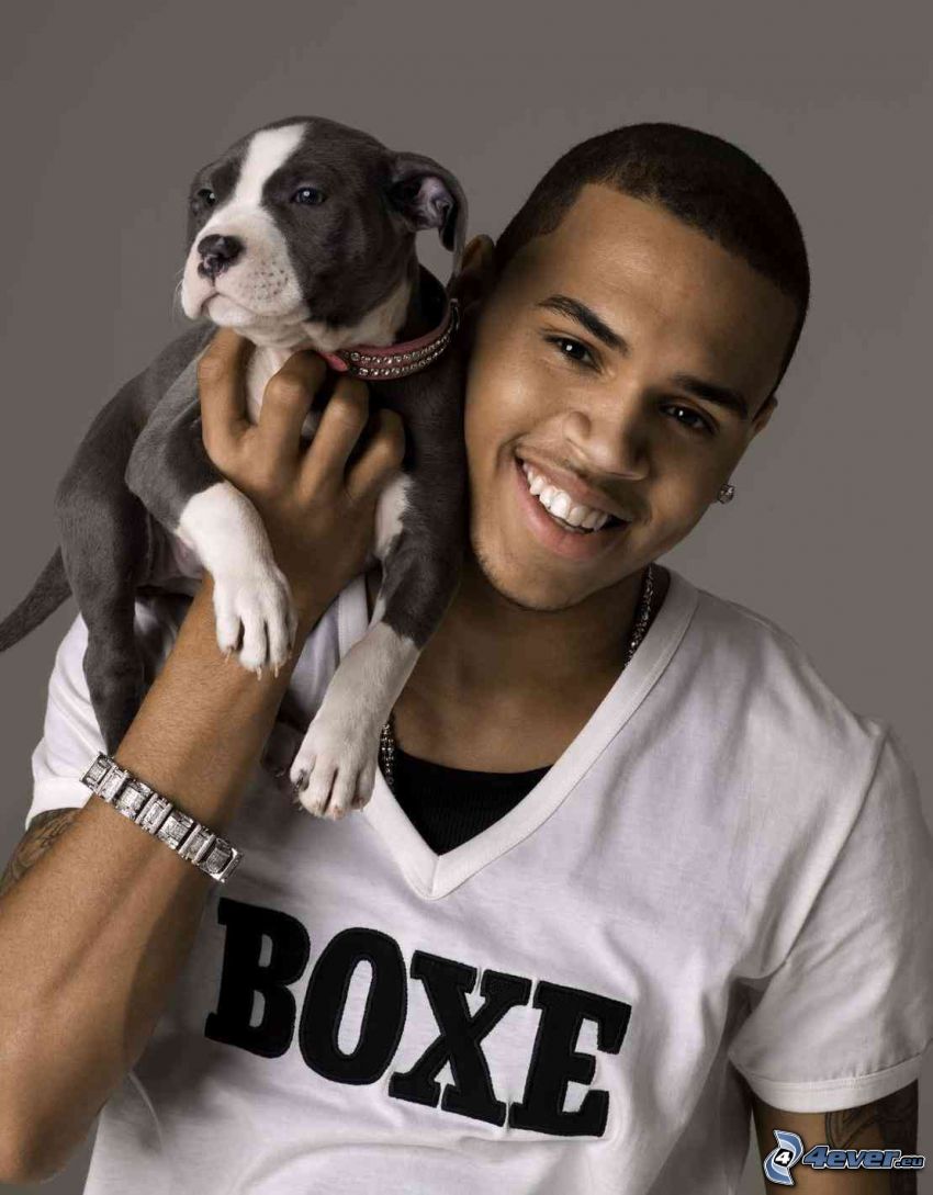 Chris Brown, cachorro, sonrisa