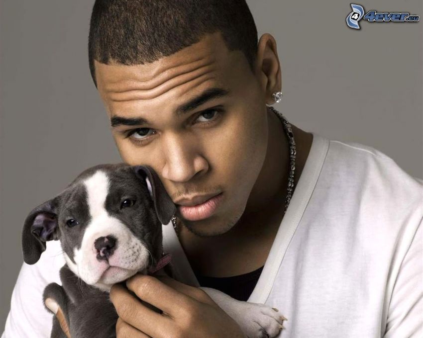 Chris Brown, cachorro