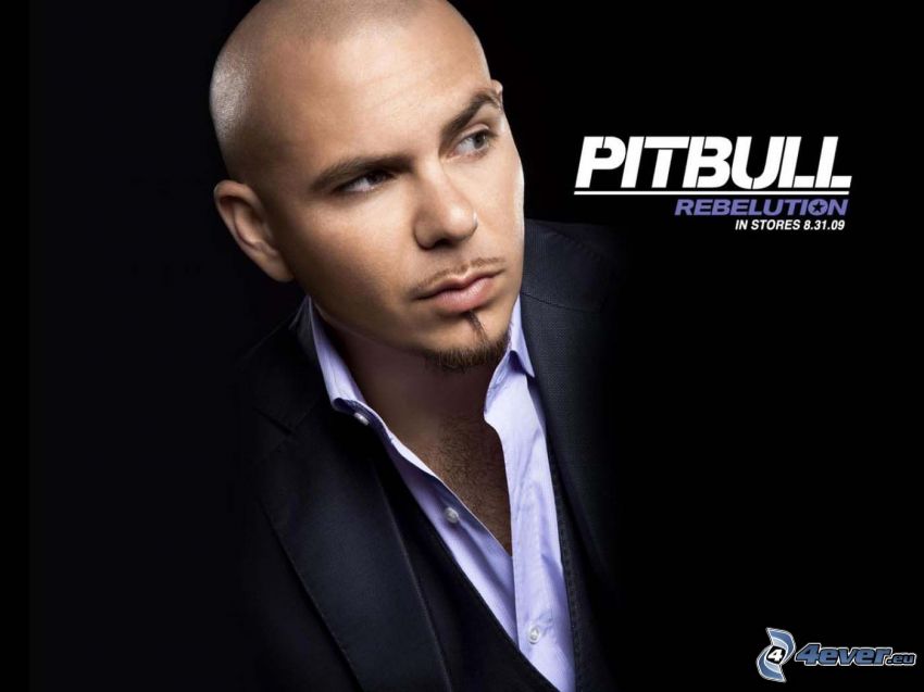 Pitbull, Rebelution