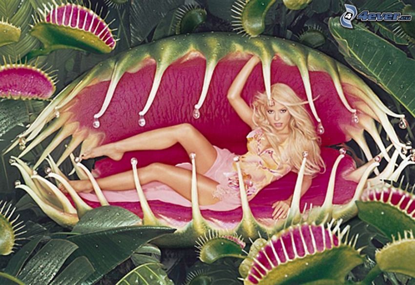 Shakira, David LaChapelle, planta carnívora
