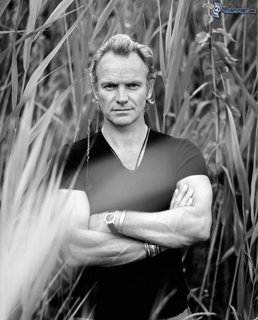 Sting, Foto en blanco y negro