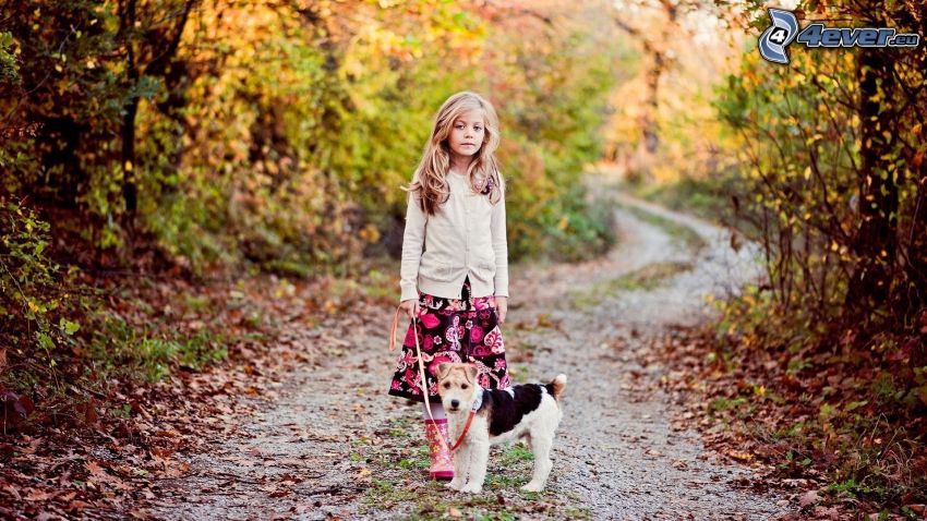 niña con perro, Jack Russell terrier, camino