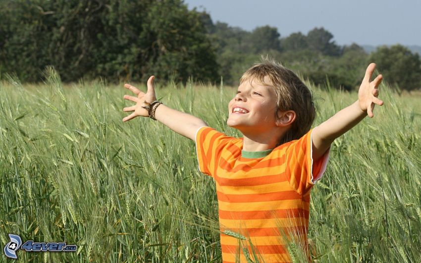 niño, alegría, campo de maíz verde