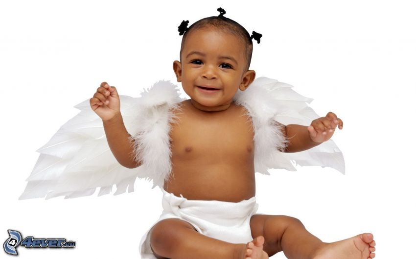 niño, ángel, alas blancas
