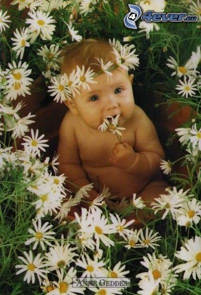 niño en flores