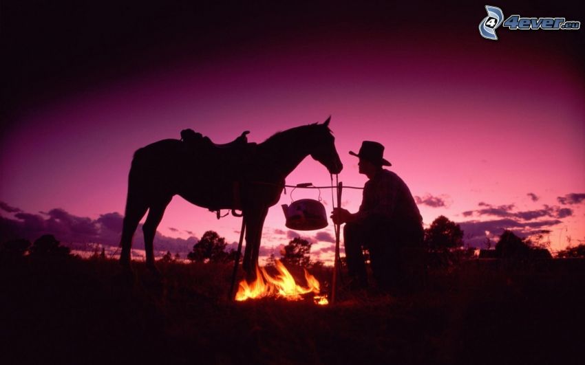 siluetas, cowboy, caballo, fuego, cielo púrpura