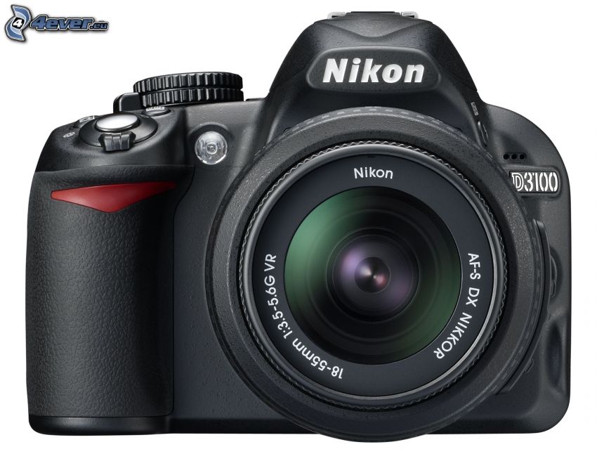 Nikon D3100