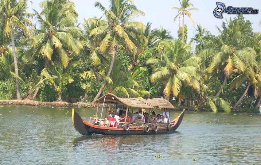barco turístico, palmera, río