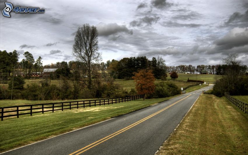 camino, cerco de madera, prados, árboles, cielo, USA
