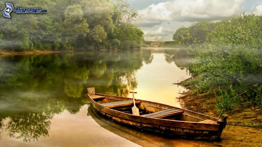 canoa, río, bosque, reflejo