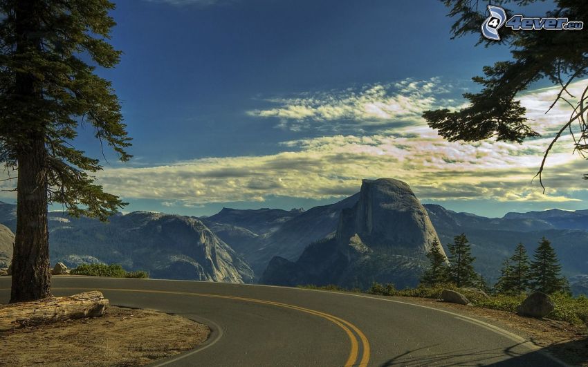 curva, camino, Parque nacional de Yosemite, montaña rocosa, árboles