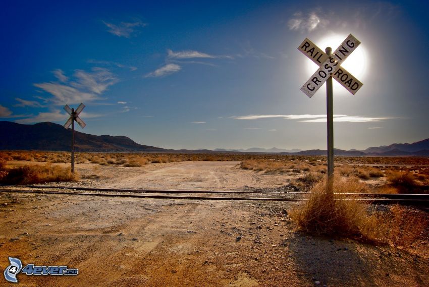 cruce de tren, sol, USA