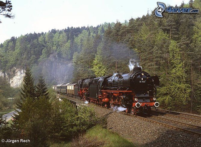Orient Express, tren de vapor, bosque