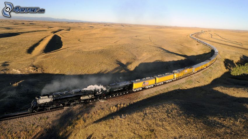 tren de vapor, Big Boy, campos, USA
