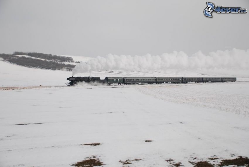 tren de vapor, paisaje nevado