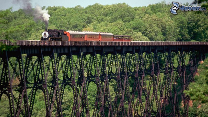 tren de vapor, puente ferroviario, bosque