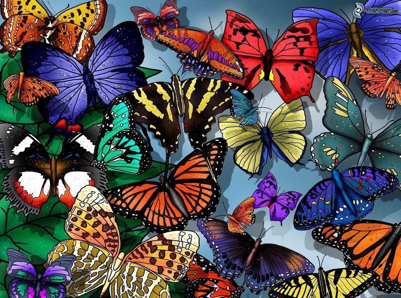 Mariposas de colores