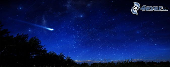 ciel de la nuit, la comète, silhouette d'une forêt