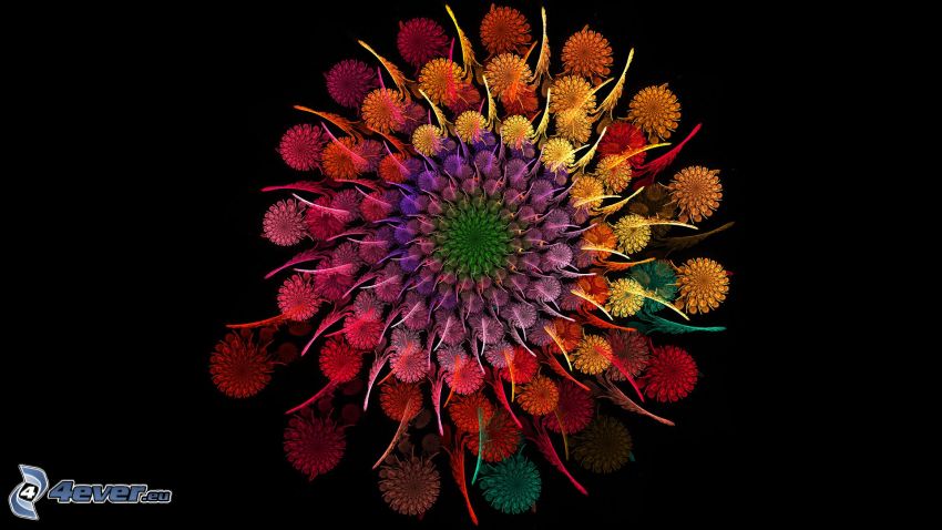 fleurs graphiques, fractal, fleurs dessinés