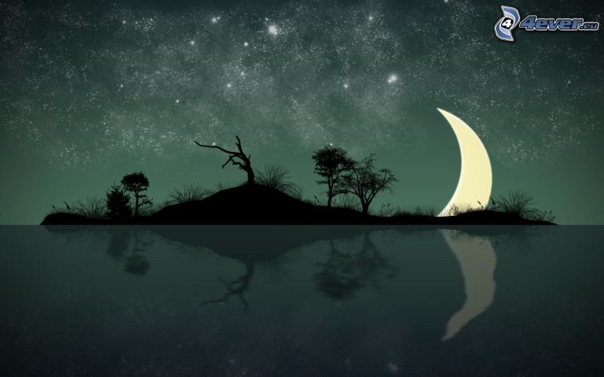 île, silhouettes d'arbres, lune, reflexion, ciel étoilé, dessin animé