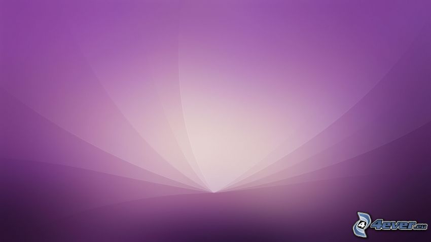 le fond violet