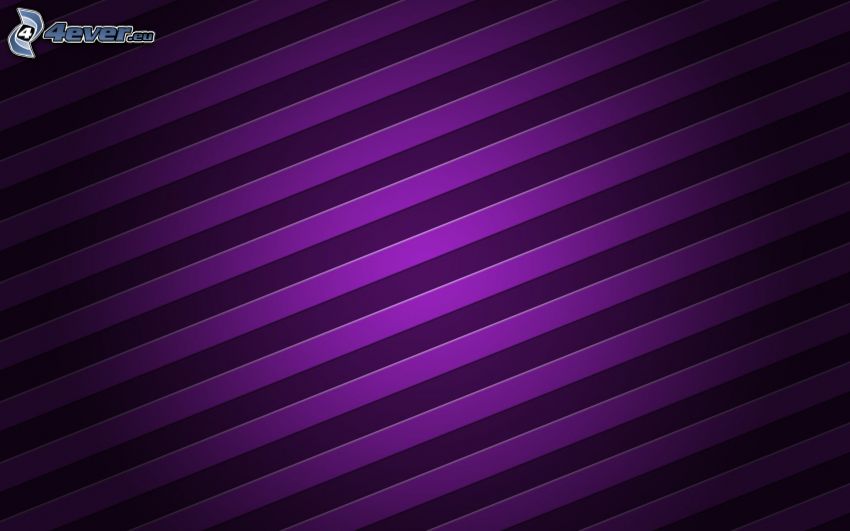 lignes, le fond violet
