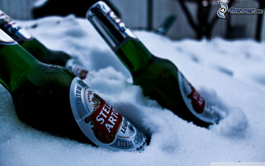 bière froide, neige